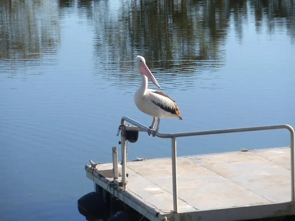 Maroochy Waterfront Motel Sunshine Coast Holiday park